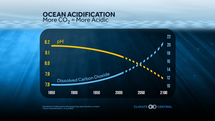 Our Ocean is Crying Out - Why Young Voices Must Fight Ocean Acidification